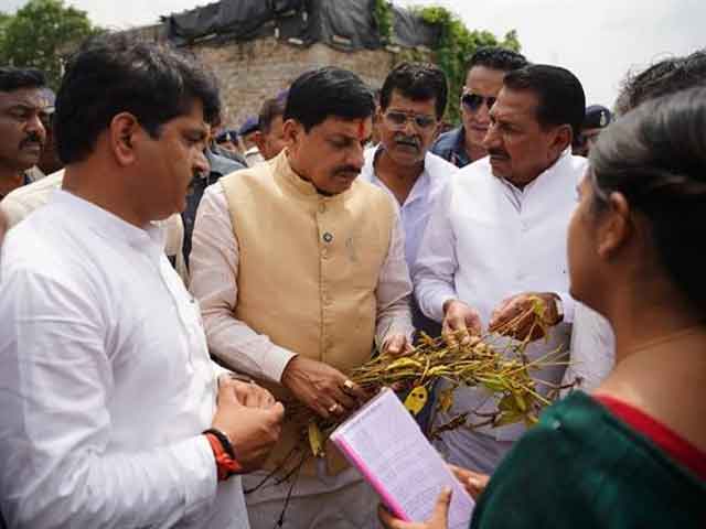 सफल हुई सीएम डॉ. यादव की मेहनत, गेहूं उपार्जन में एमपी लगातार बना रहा रिकॉर्ड