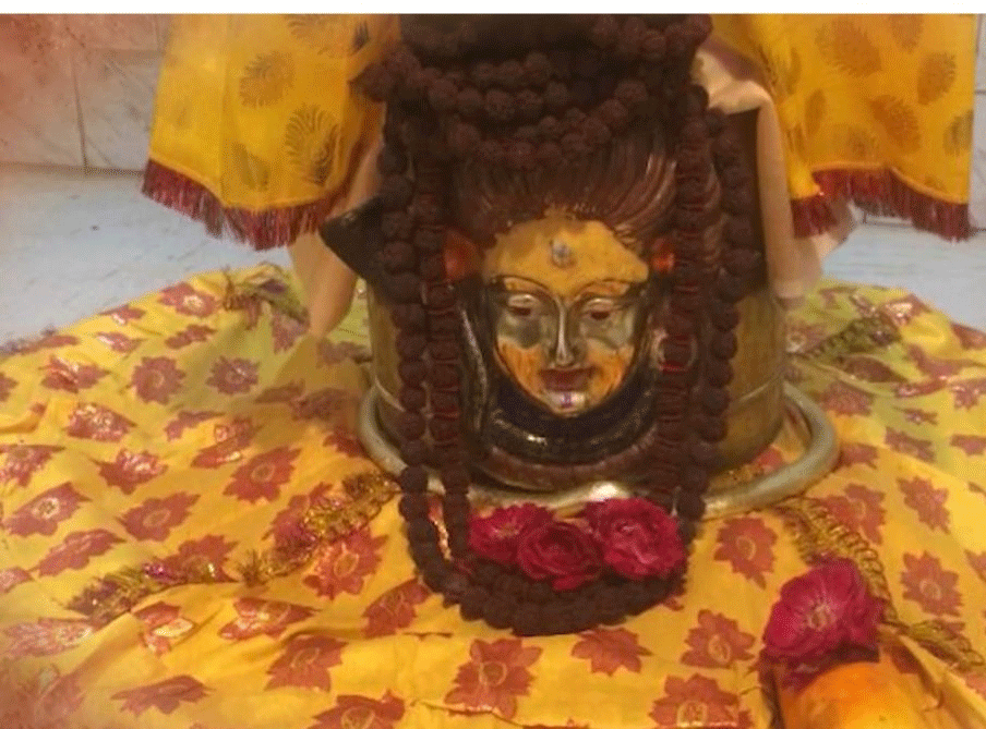 “महादेव की शरण में बीता जीवन कभी व्यर्थ नहीं जाता — कबूतर से गंधर्व तक की अलौकिक यात्रा”